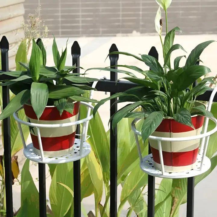 1+1 Free | HangPot™ Space-Saving Botanical Haven