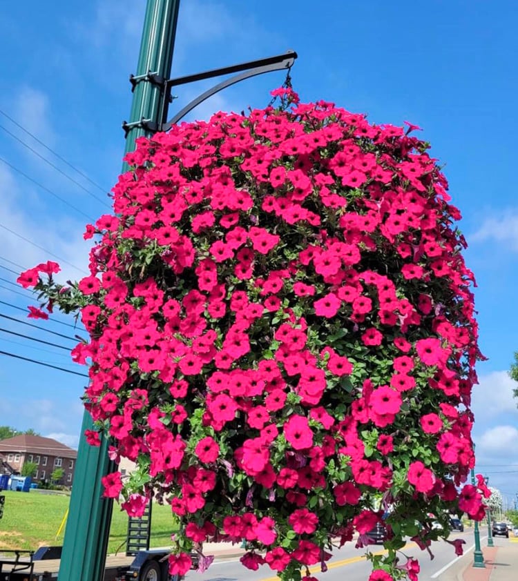 GlowBlossom™ Artificial Glory Flower