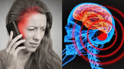 RadiShield™ Shields Harmful Waves