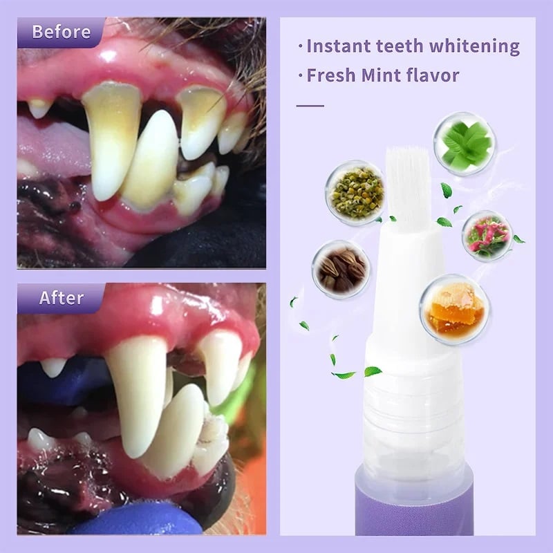 VitaSmile™ — Transform Your Pet’s Smile with Pain-Free Freshness