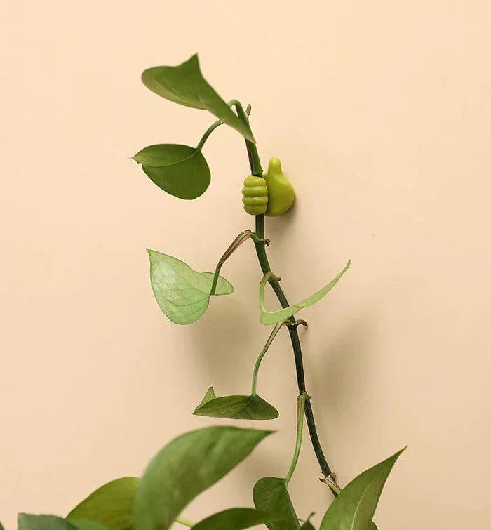 10+10 FREE | ThumbHooks - Tidy House Organiser (Last day discount)