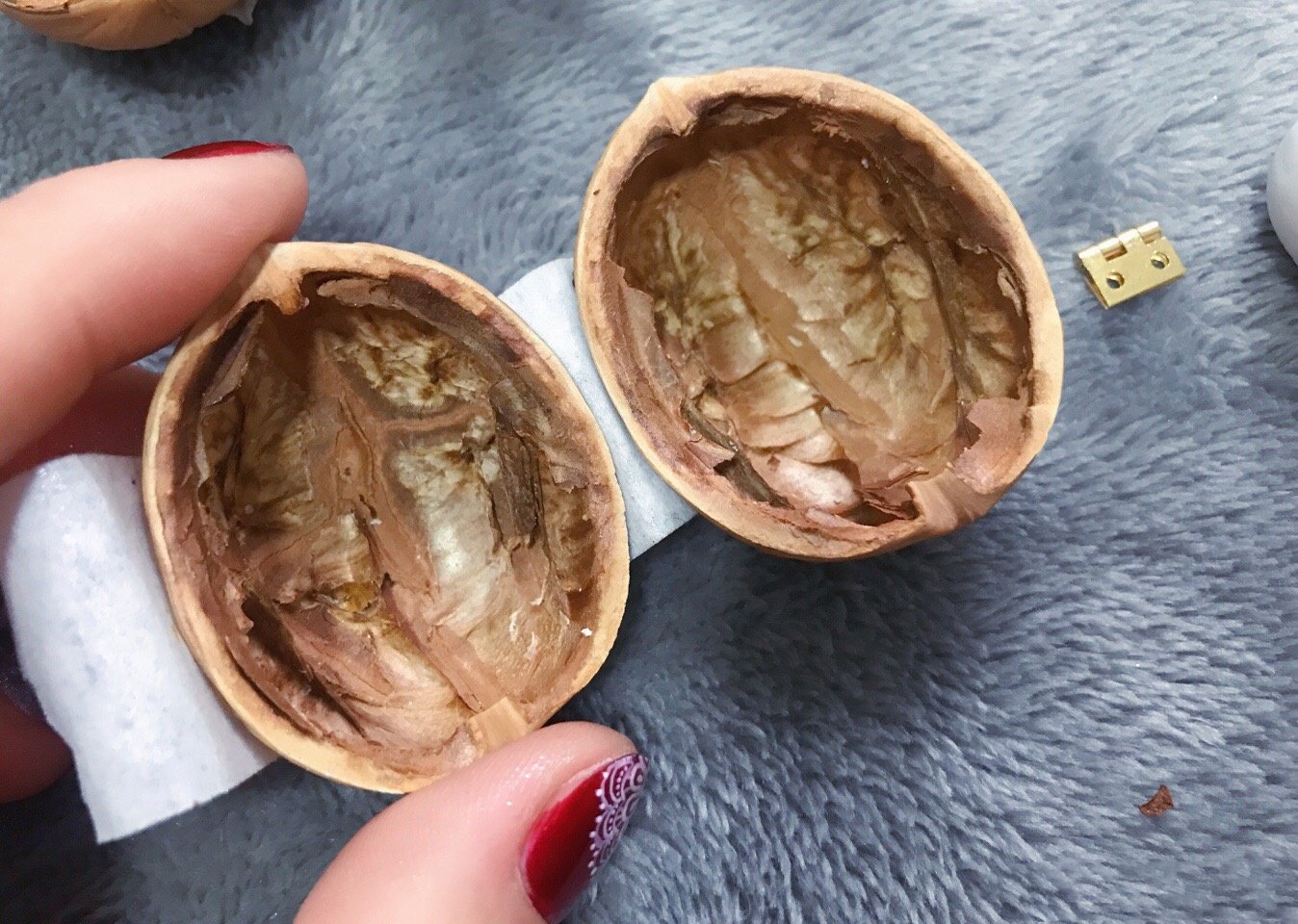 Tiny World with Light – Walnut Shell Mini Library