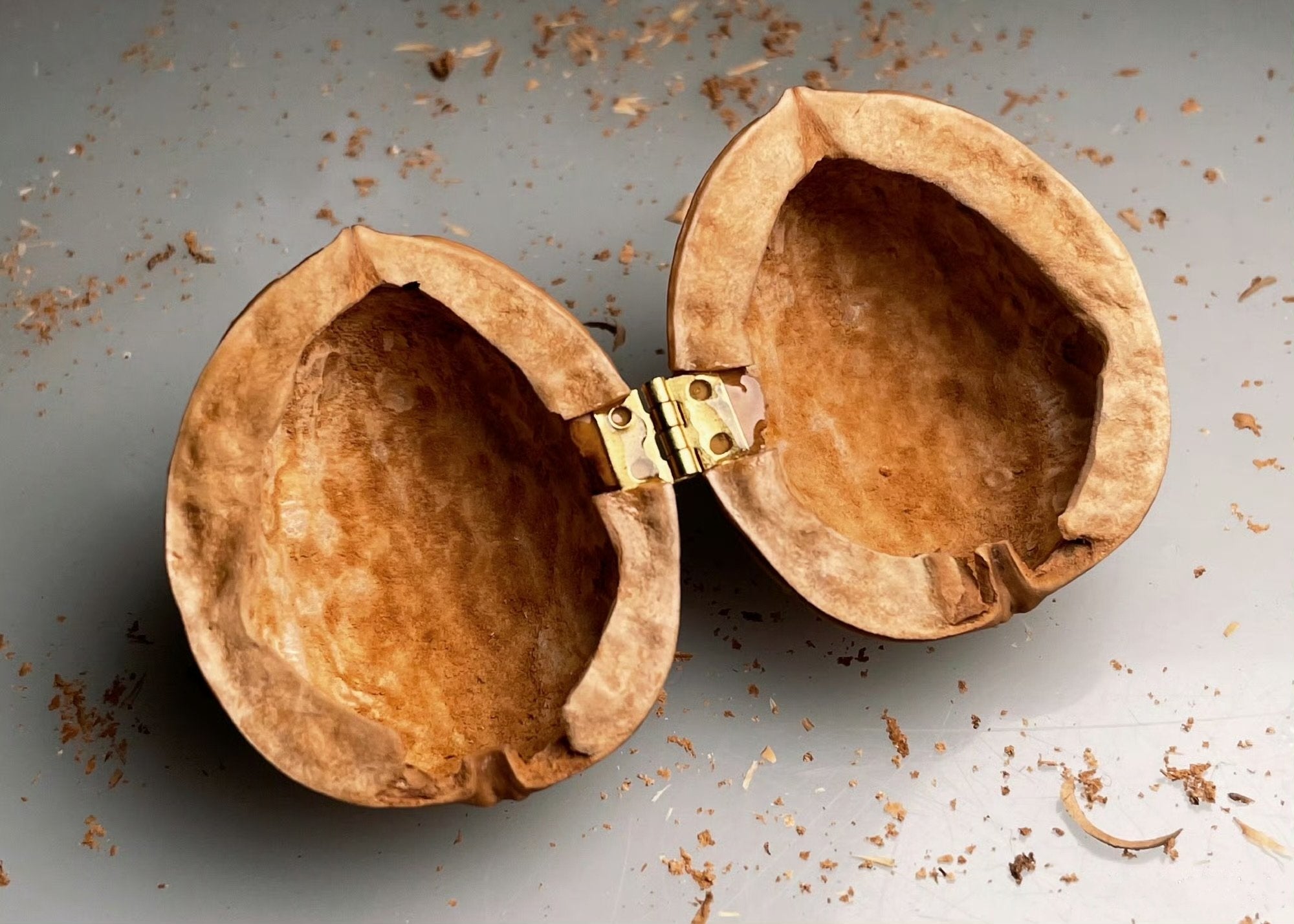 Tiny World with Light – Walnut Shell Mini Library