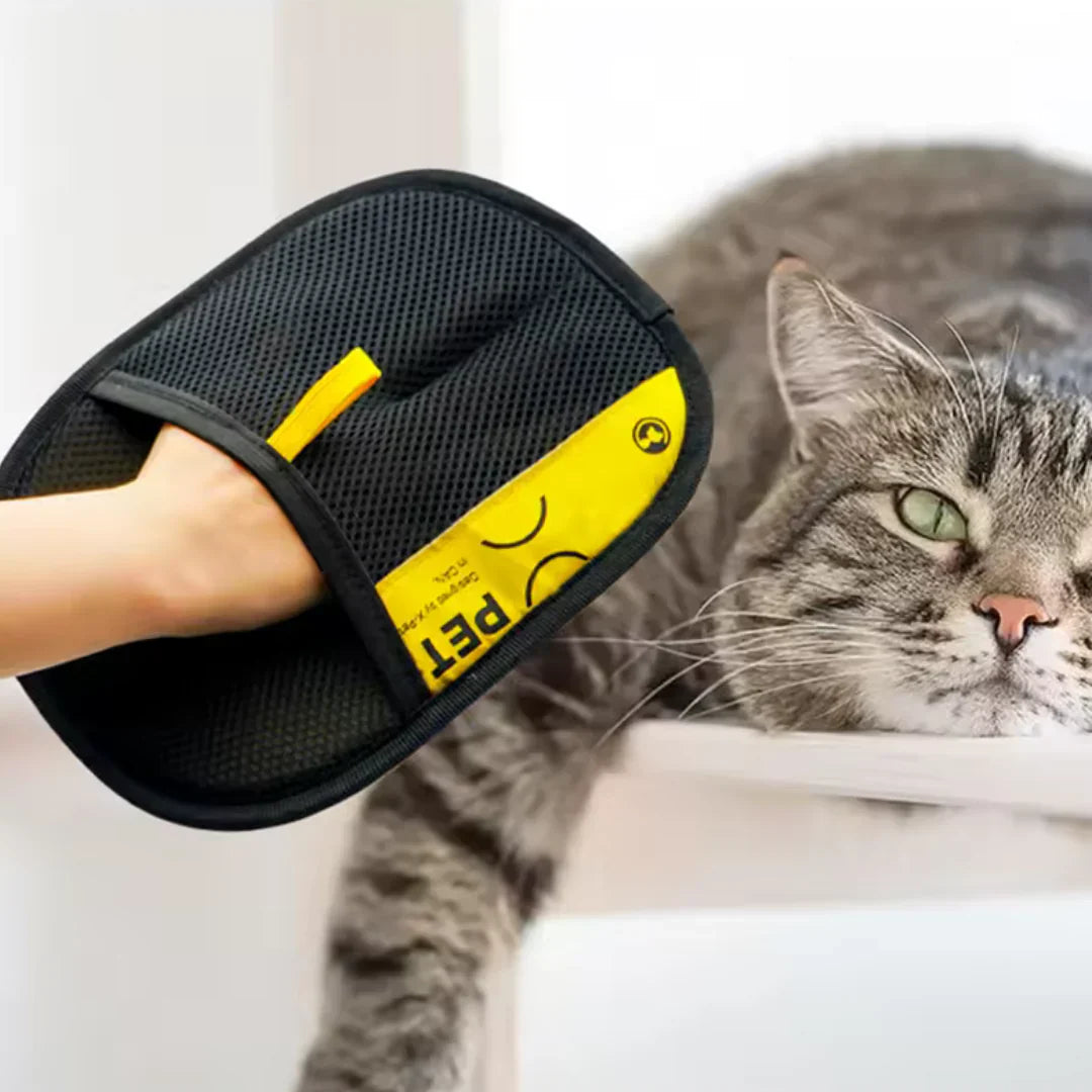 Dernier Jour -50% | GroomEase™ - Le Gant Doux pour Animaux Heureux